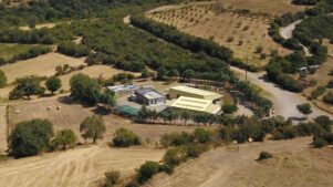 &tau;&alpha; &mu;&epsilon;&tau;&alpha;&lambda;&lambda;&epsilon;ί&alpha; &Theta;&rho;&alpha;&kappa;&eta;&sigmaf; &chi;&tau;ί&zeta;&omicron;&upsilon;&nu; &alpha;&xi;ί&alpha; &mu;&epsilon; &tau;&eta;&nu; &epsilon;&tau;&alpha;&iota;&rho;&iota;&kappa;ή &kappa;&omicron;&iota;&nu;&omega;&nu;&iota;&kappa;ή &epsilon;&upsilon;&theta;ύ&nu;&eta;