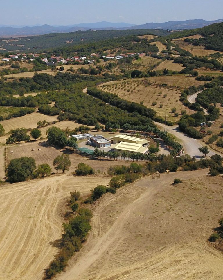 &tau;&alpha; &mu;&epsilon;&tau;&alpha;&lambda;&lambda;&epsilon;ί&alpha; &Theta;&rho;&alpha;&kappa;&eta;&sigmaf; &chi;&tau;ί&zeta;&omicron;&upsilon;&nu; &alpha;&xi;ί&alpha; &mu;&epsilon; &tau;&eta;&nu; &epsilon;&tau;&alpha;&iota;&rho;&iota;&kappa;ή &kappa;&omicron;&iota;&nu;&omega;&nu;&iota;&kappa;ή &epsilon;&upsilon;&theta;ύ&nu;&eta;