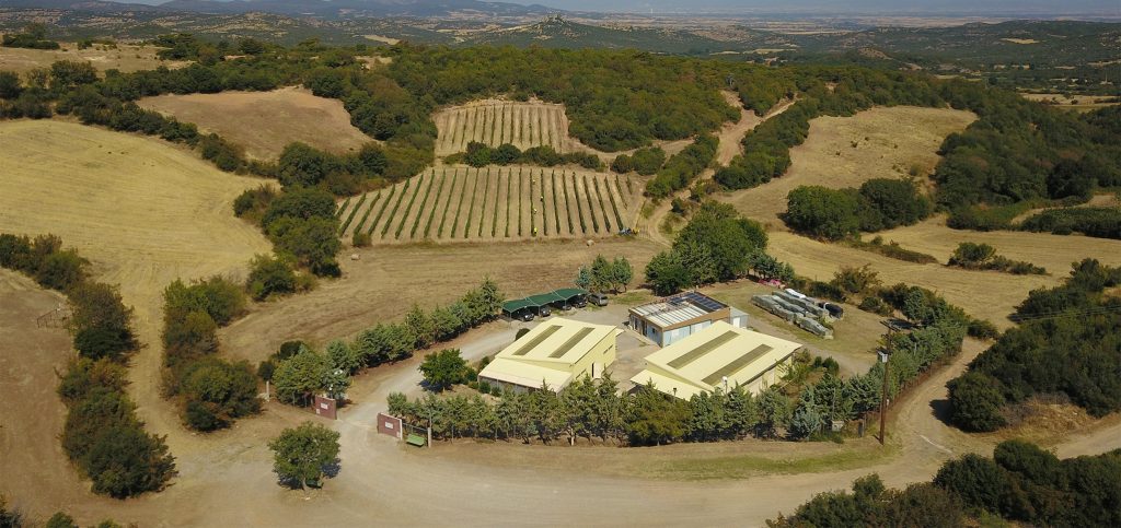 Η Ευρώπη επιστρέφει στην εξόρυξη και το κανει με σχέδιο